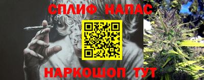 spice Майкоп