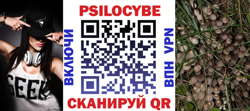 Псилоцибиновые грибы Psilocybe  купить наркотик  Алатырь 