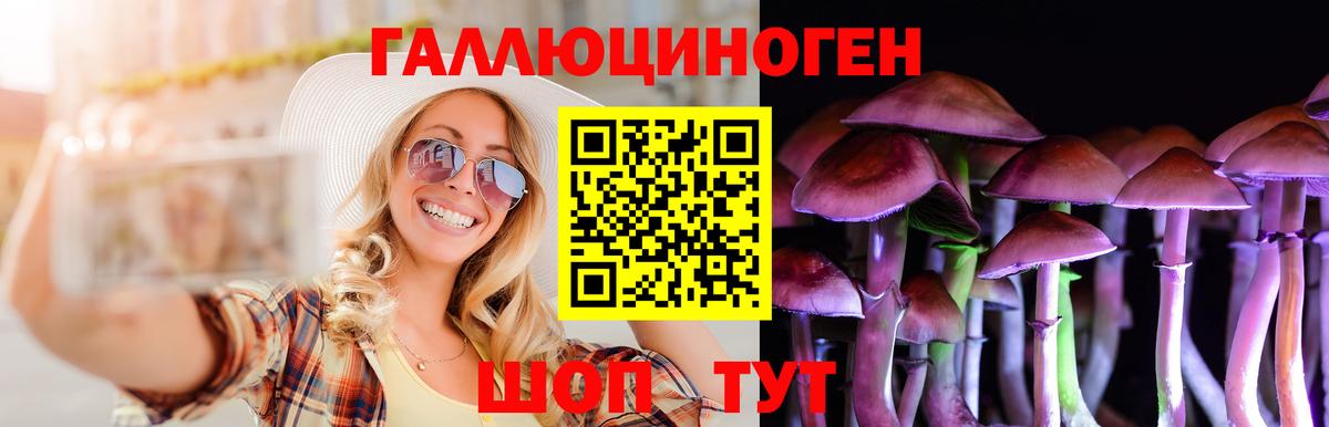 Галлюциногенные грибы Psilocybe  Вход с VPN  как найти наркотики  Алатырь 